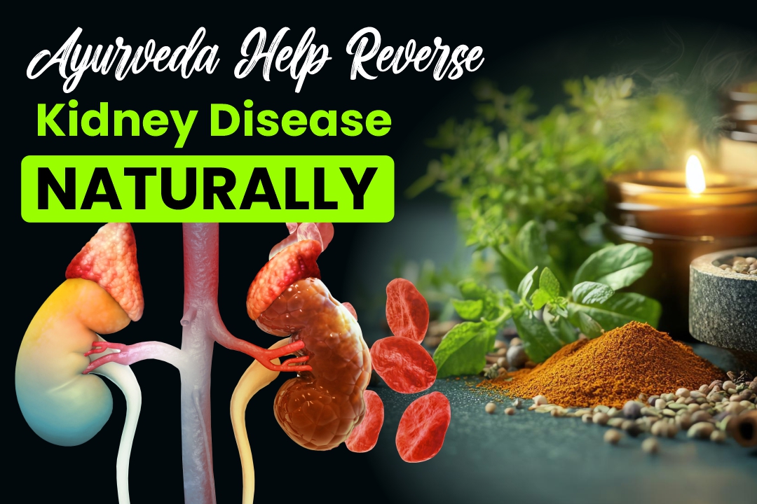 Can Ayurveda Help Reverse Kidney Disease Naturally?